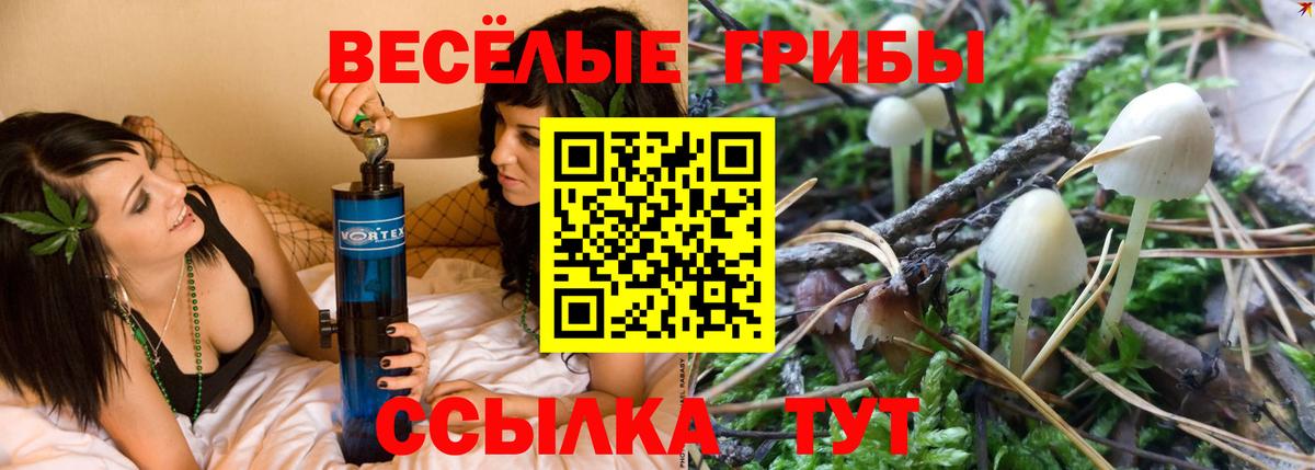 Галлюциногенные грибы Psilocybe  Псилоцибиновые грибы ЛСД  Конаково  Вход с VPN 